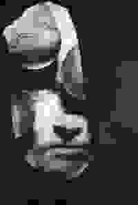 stratname: strat093-marblehead-kinders 