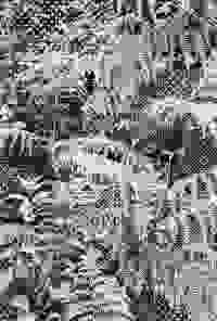 stratname: strat110-sachet-comsiana15c-fougeres 