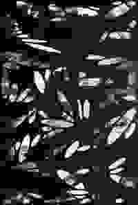 stratname: strat114-comjazzdor14-ellipses 