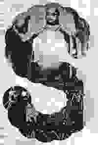 stratname: strat153-ssnake-gelede 