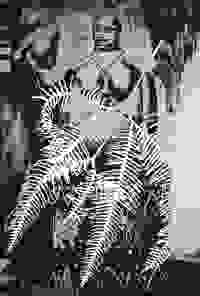 stratname: strat165-gleichenia-gelede 